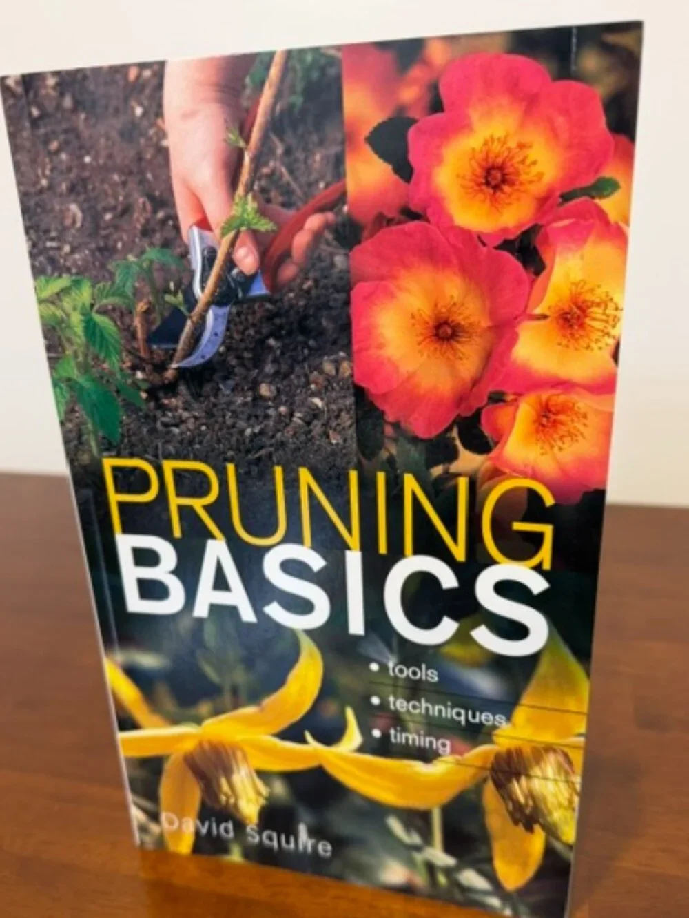Pruning Basics: Tools Techniques Timing